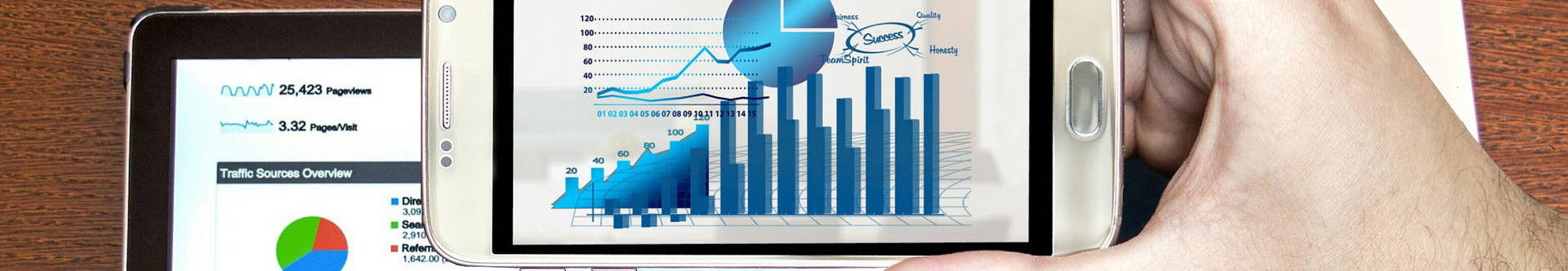 Business Intelligence SEO